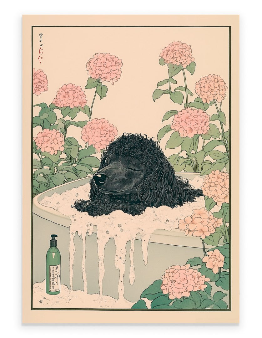 Black poodle sitting in a floral Japanese bath with soft petals and background