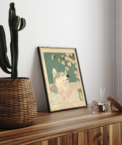 Tranquil husky in a bathhouse setting with green paneling and sakura flowers